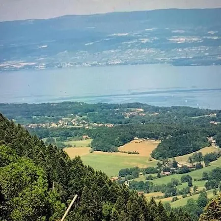 Les Sources - Les Pieds Dans L'eau